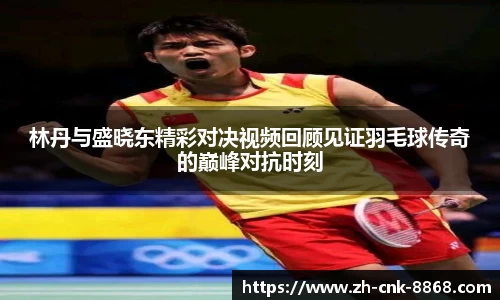 林丹与盛晓东精彩对决视频回顾见证羽毛球传奇的巅峰对抗时刻