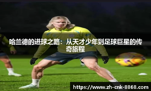 8868体育官方网站