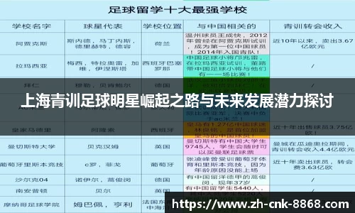 上海青训足球明星崛起之路与未来发展潜力探讨